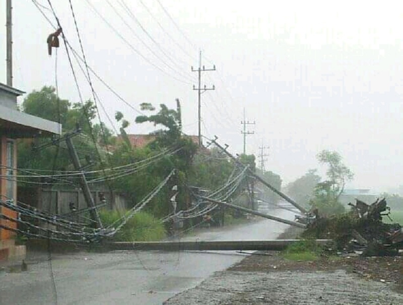 Tiang listrik tumbang di Sidoarjo, Jawa Timur. Foto: IST