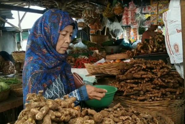 Empon-empon, Primadona di Tengah Ancaman Korona