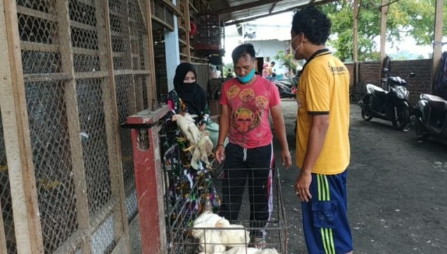 Khasan Soleh (tengah) saat  menimbang ayam sebelum dijual. 