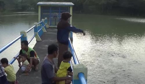 Sejumlah warga Desa Baleasri, Ngariboyo ramai-ramai mendatangi embung Ndut Sewu untuk menikmati sensasi mmeberi makan ikan jelang puasa (foto/metrotv)