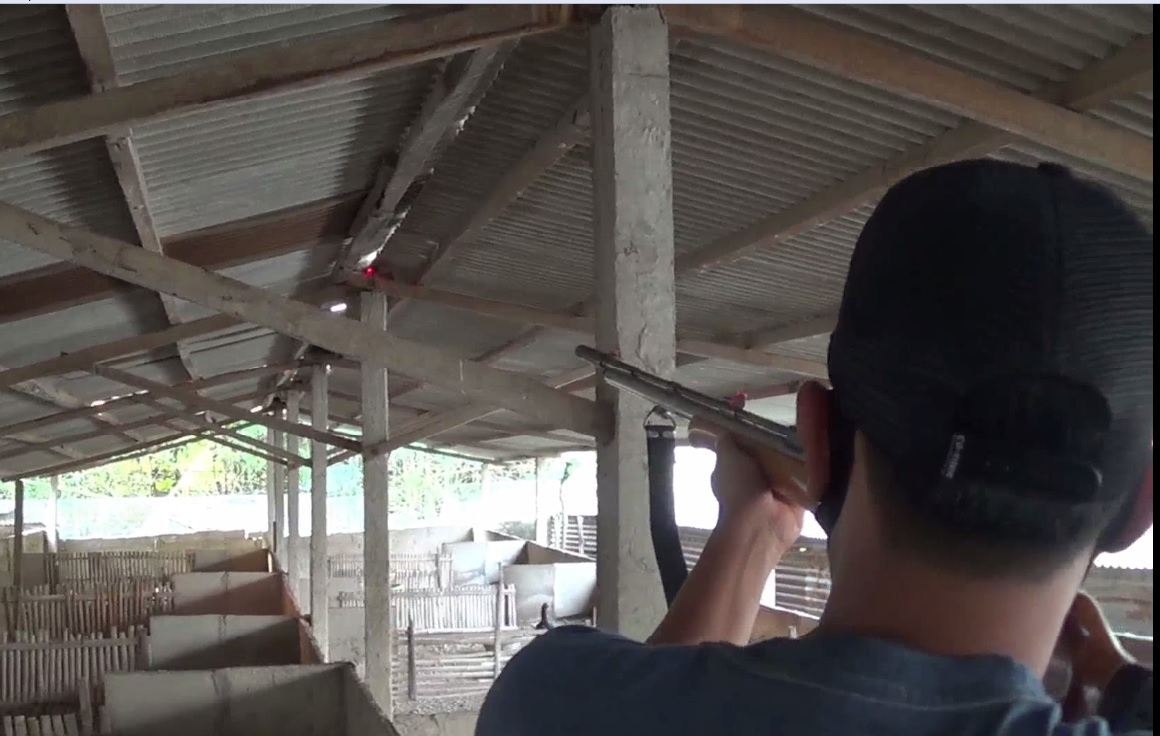 Peserta lomba berburu tikus membidikan senapan angin di atas atap kandang ternak bebek. (foto/metrotv)