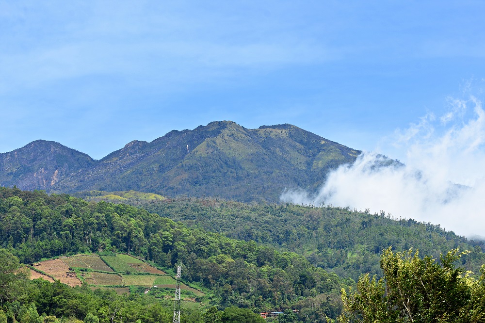 Waspada, Lereng Gunung Lawu Rawan Kebakaran