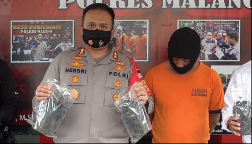 Kapolres AKBP Hendri Umar menunjukkan barang bukti berupa tanaman ganja yang ditanam tersangka Jarot (Foto/Metrotv)