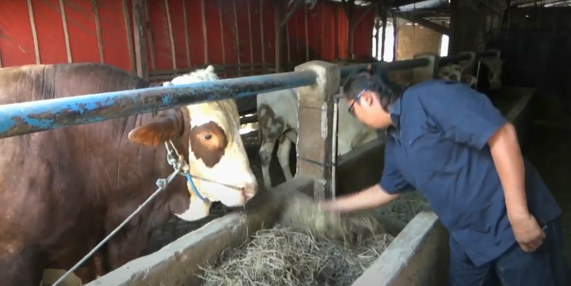 Safrudin keluhkan syarat swab yang akan diterapkan pemerintah di tengah pandemi covid-19 (Foto/Metrotv)