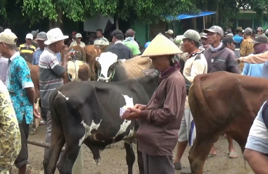 4 Aturan Disiapkan Gugus Tugas untuk Pemotongan Hewan Kurban