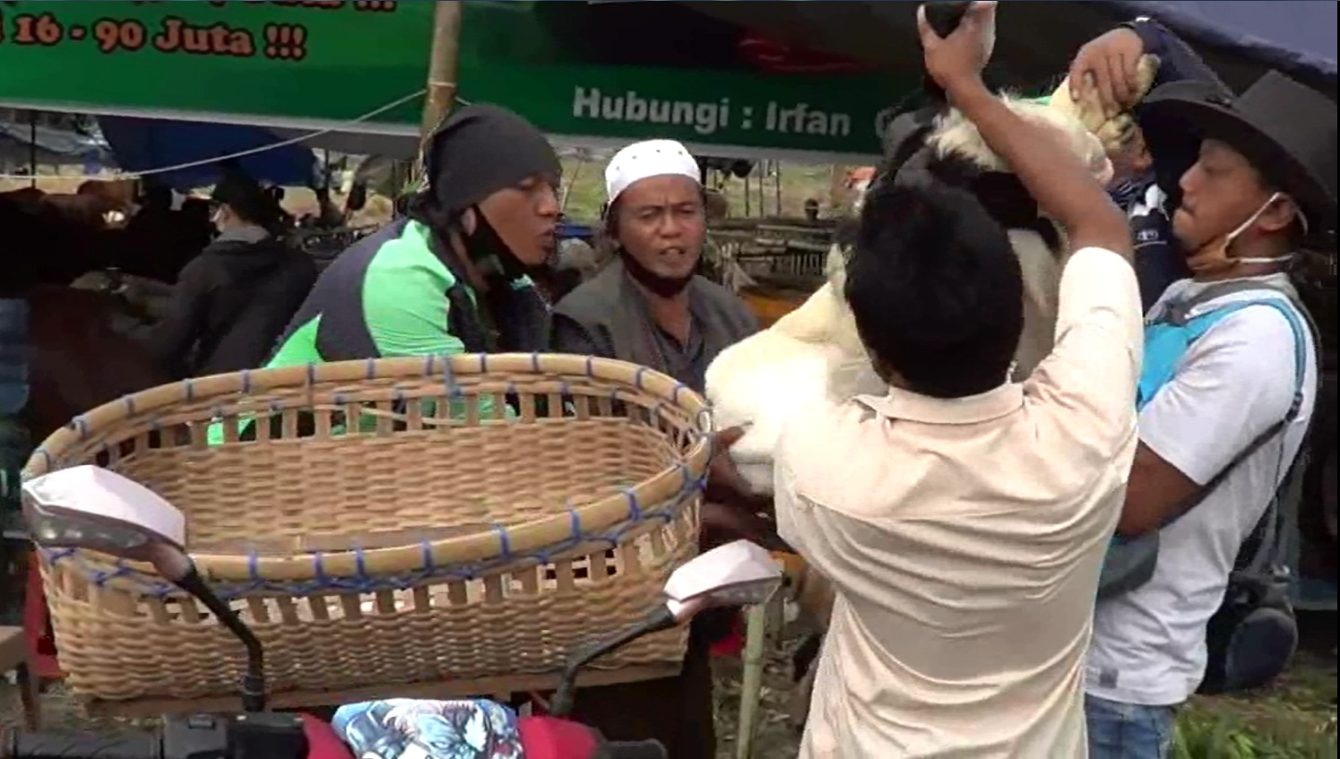 Menjelang Idul Adha, tukang ojek online menerima banyak jasa angkut hewan kurban (Foto / Metro tv) 