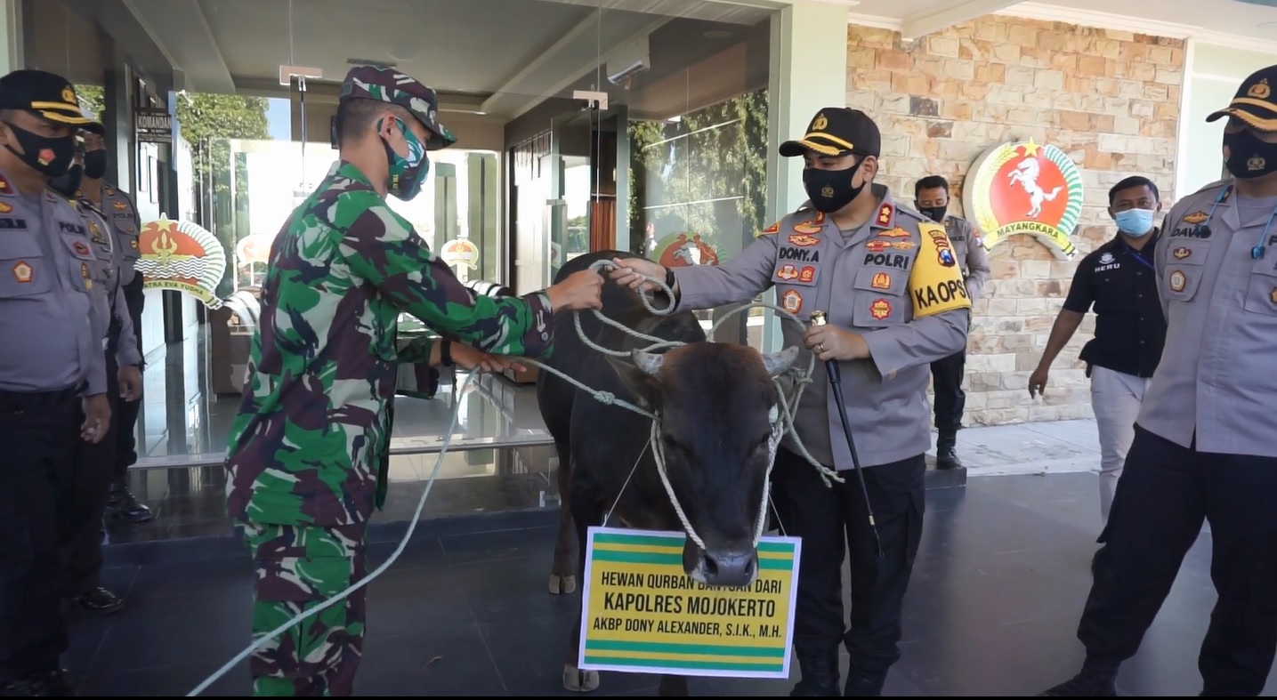 Jelang Idul Adha, Polres Mojokerto Berikan Kejutan TNI  yang Bertugas di Afrika