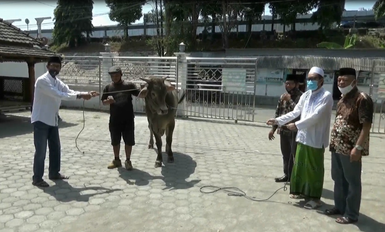 Ketua Dewan Pimpinan Daerah (DPD)  Partai Nasdem Tuban,  Sumantri menyerahkan sapi kurban ke Pondok Pesantren Langitan. (foto/metrotv)