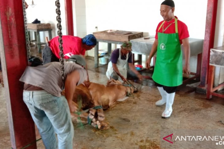 Penyembelihan hewan kurban di rumah potong hewan (RPH) Desa Sumberkolak, Kecamatan Panarukan, Situbondo