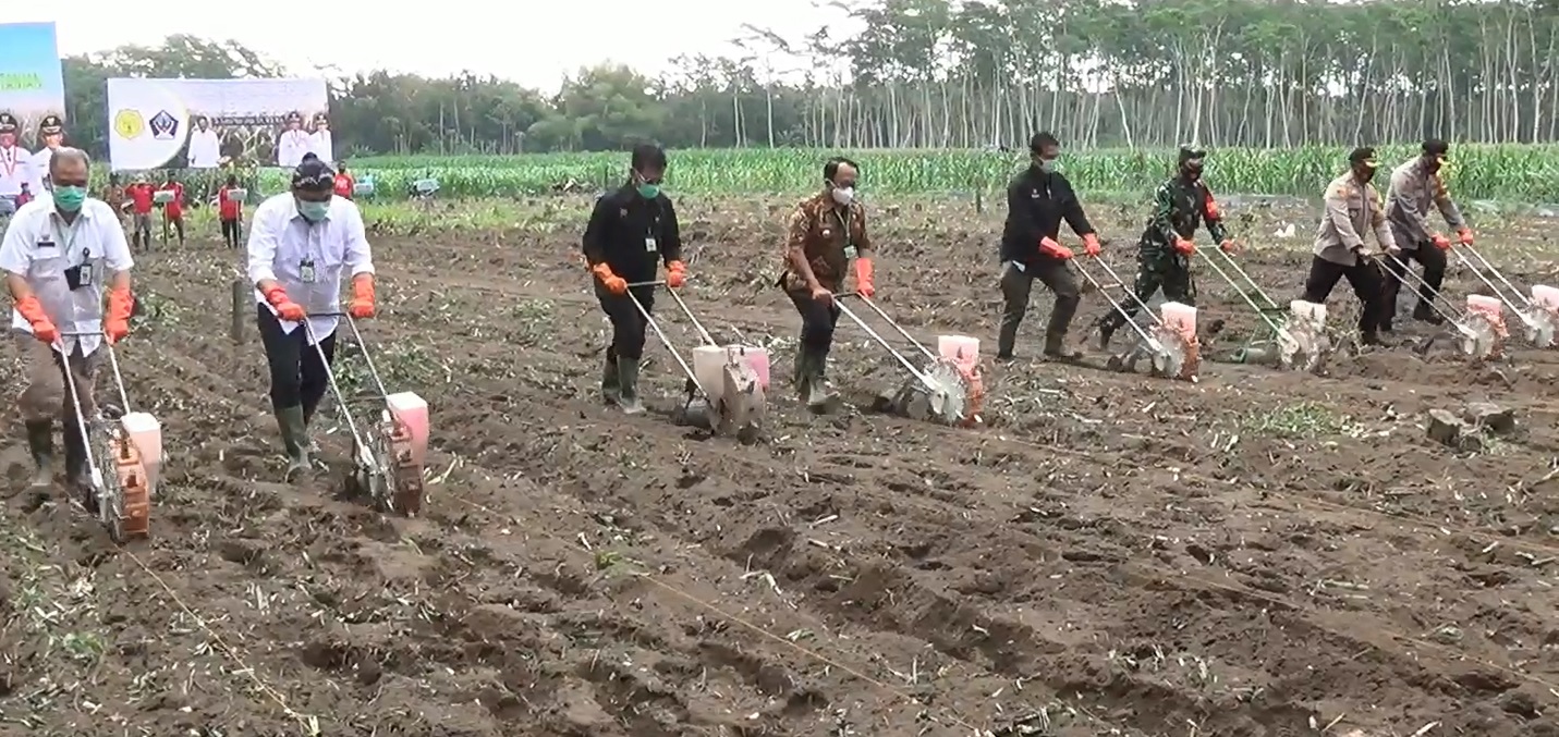  Menteri Pertanian, Syahrul Yasin Limpo (tiga dari kiri) melakukan penanaman jagung di Desa Maliran Kecamatan Ponggok, Blitar Kamis 13 Agustus 2020 (Foto / Metro TV)