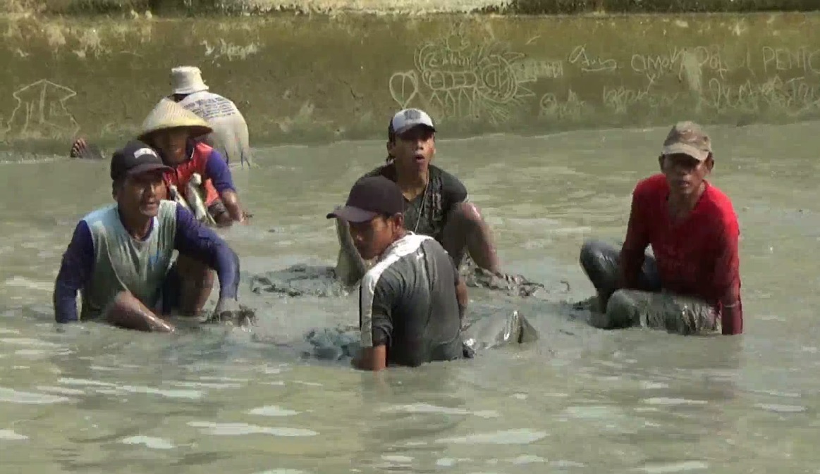 Peserta lomba tangkap ikan lele harus rela bermandi air lumpur. (foto/metrotv)