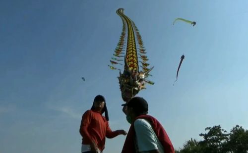 Salah satu peserta festival layangan mencoba menerbangkan naga terbang  untuk memperoleh penilaian dari juri (Foto / Metro TV)