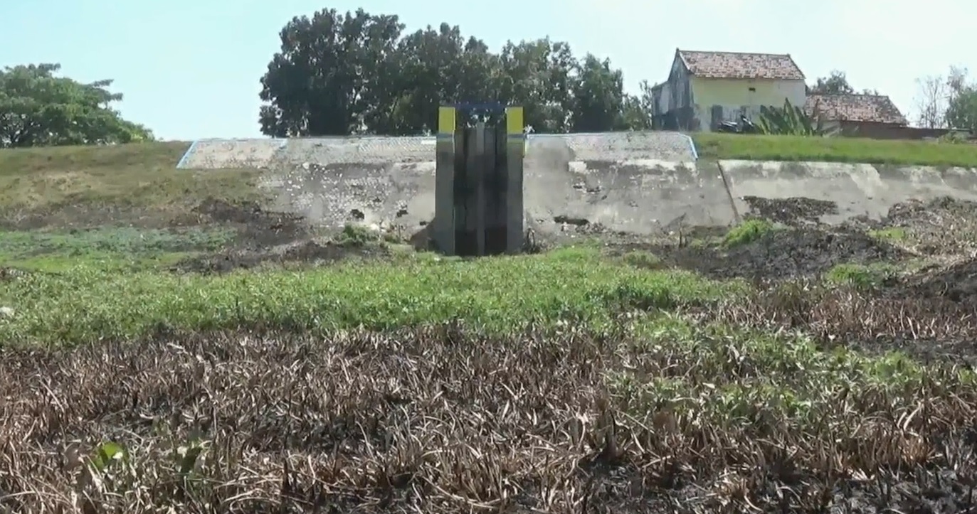 Kondisi waduk Joto Lamongan sudah mengering sejak dua bulan terakhir (Foto / Metro TV)