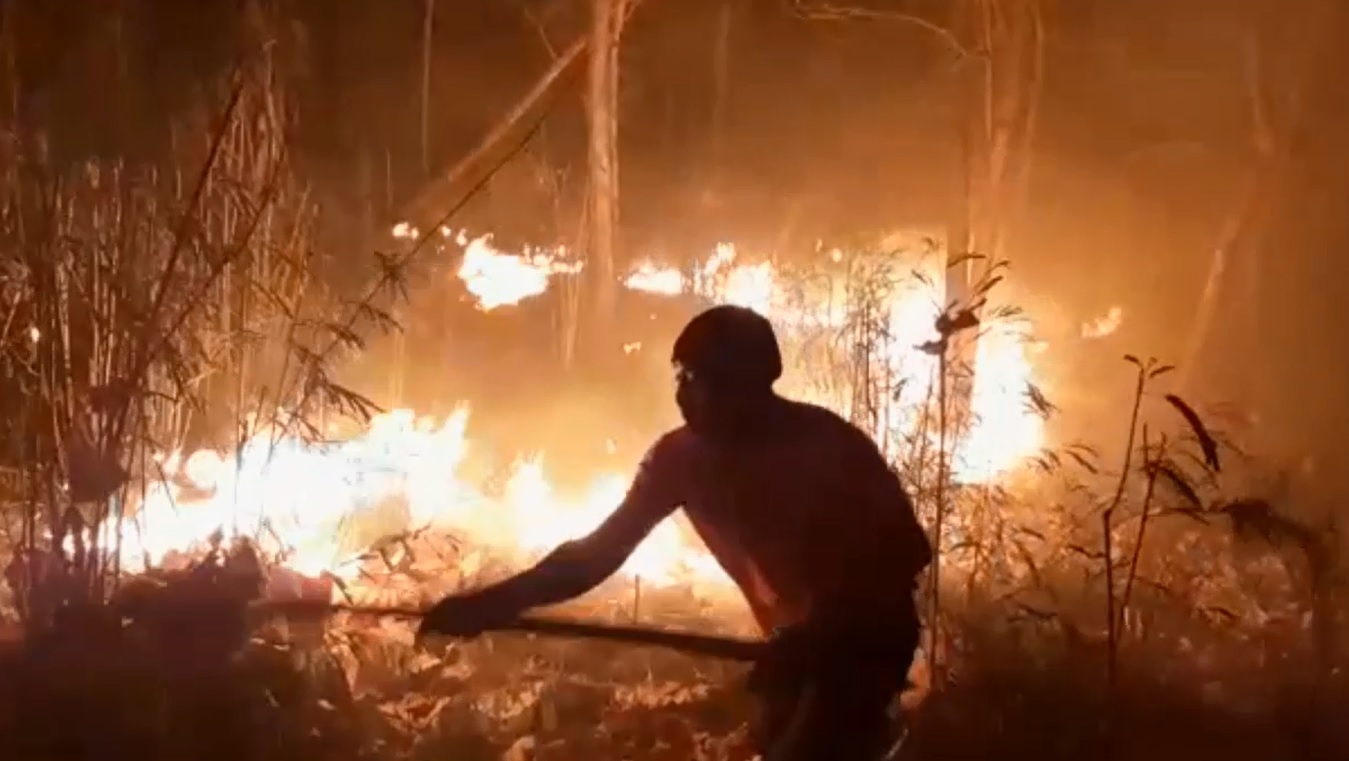 Petugas BPBD dan muspika Kecamatan Kendit berjibaku dengan api yang membakar hutan lindung jati di Situbondo, (Foto / Metro TV)