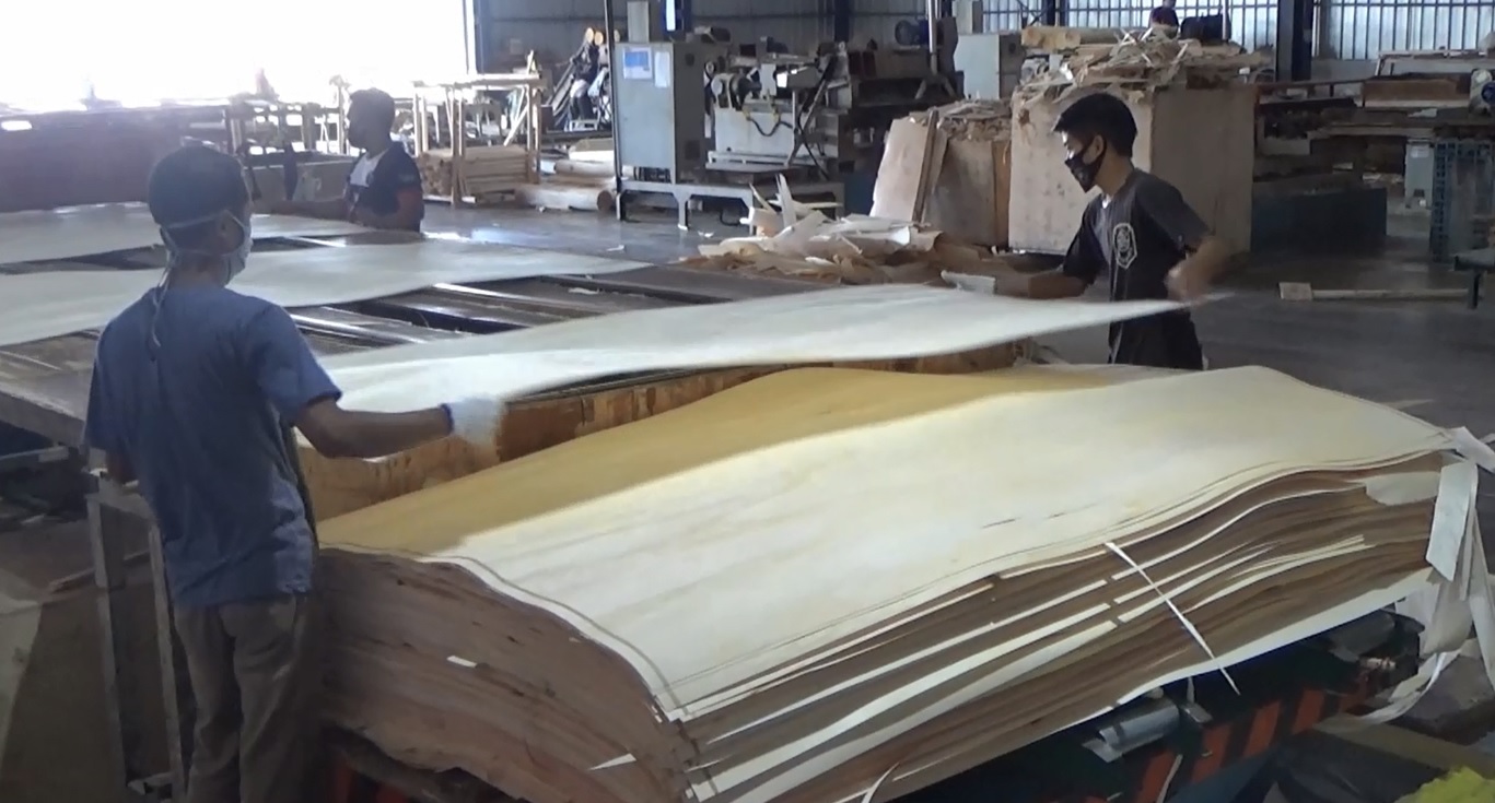 Produksi plywood kembali menggeliat setelah sempat lesu di tengah pandemi (Foto / Metro TV)