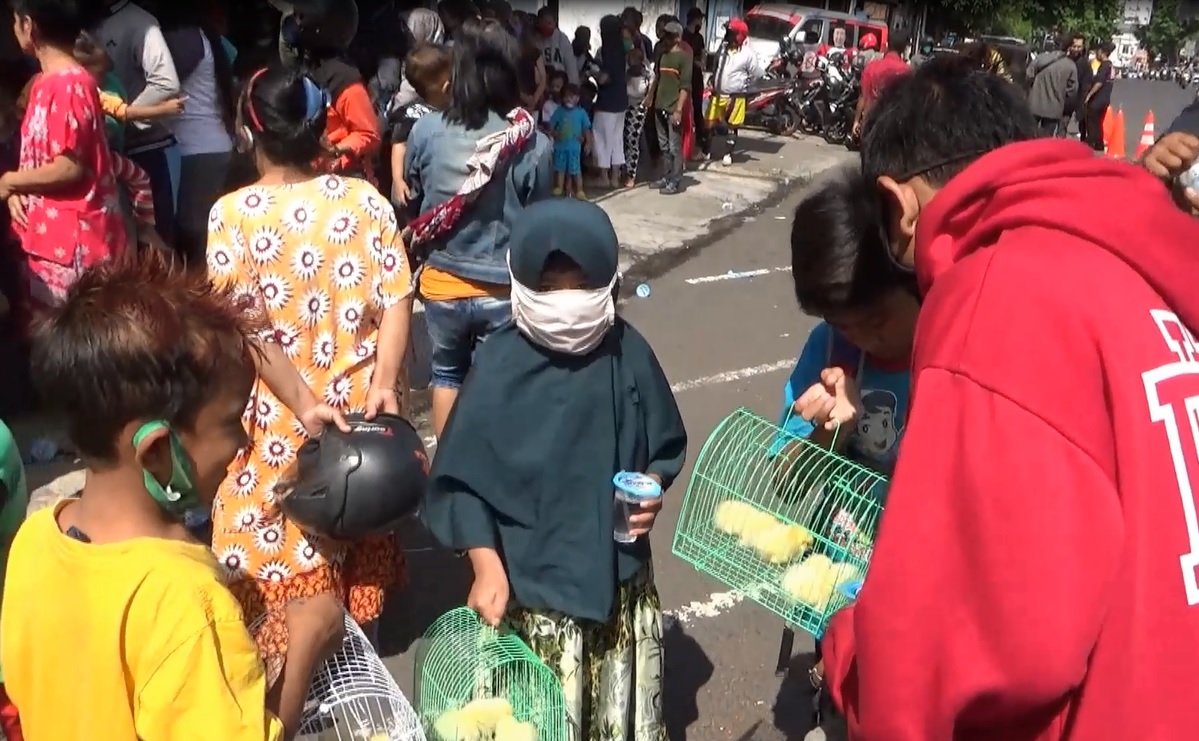 Atasi Kecanduan Gedget, Pengusaha Jember Bagikan Seribu Anak Ayam