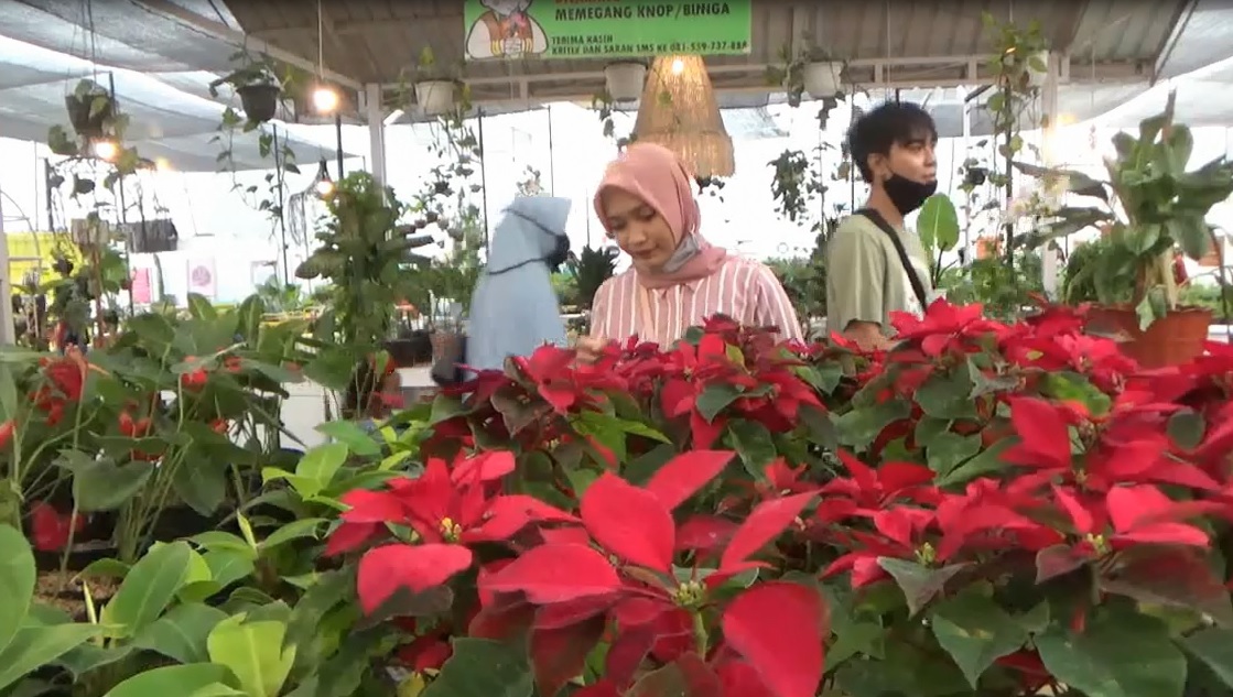 Kebun Anggrek, Destinasi Wisata Baru di Jember