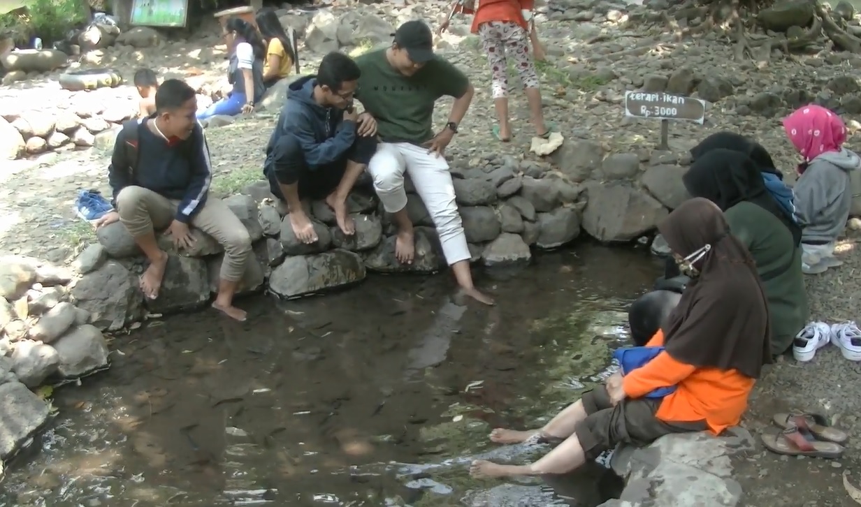 Selain menikmati indahnya alam, pengunjung juga bisa memanfaatkan kolam terapi ikan. (metrotv) 