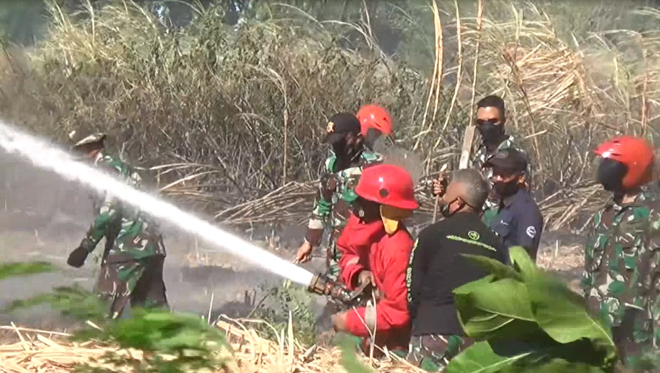 Lahan Tebu Lanud Iswahyudi Terbakar