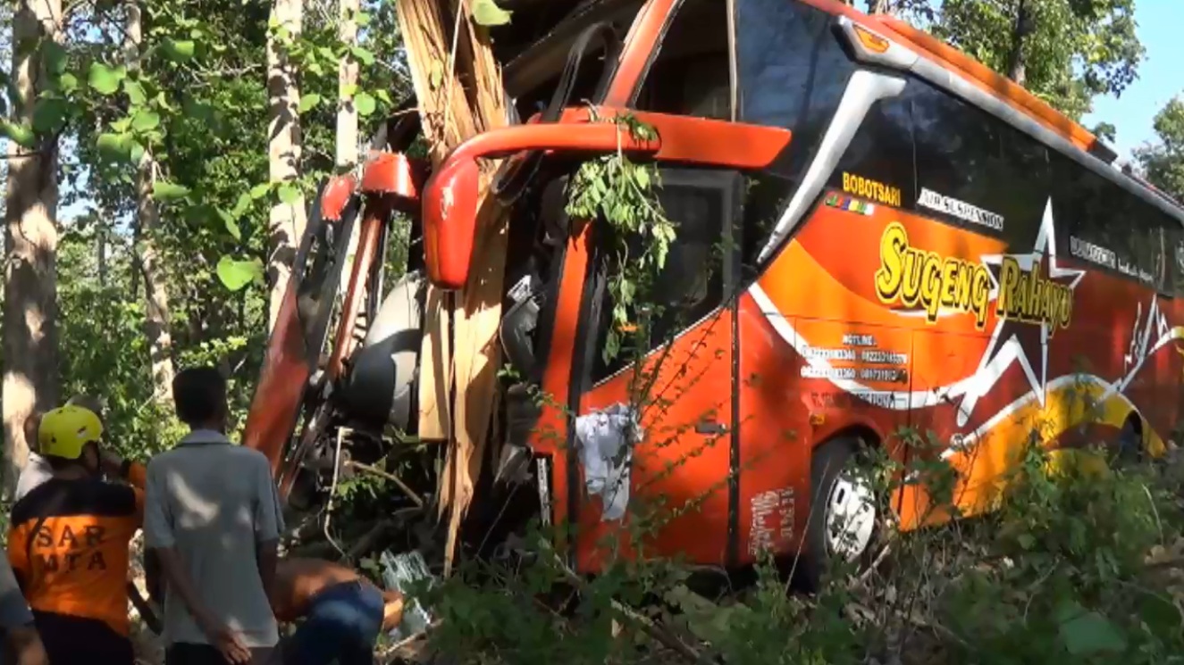 Sopir Ngantuk, Bus Antar Kota Tabrak Pohon