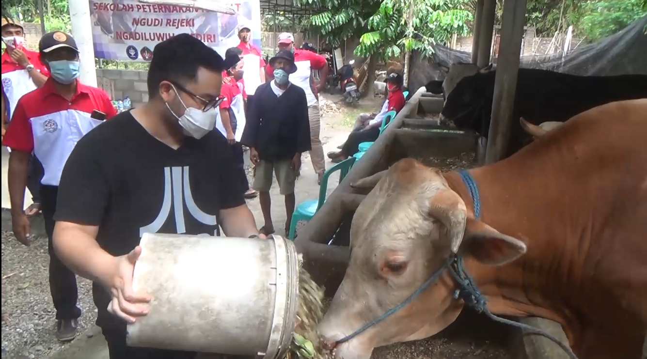 Calon Tunggal Bupati Kediri Blusukan ke Kandang Sapi