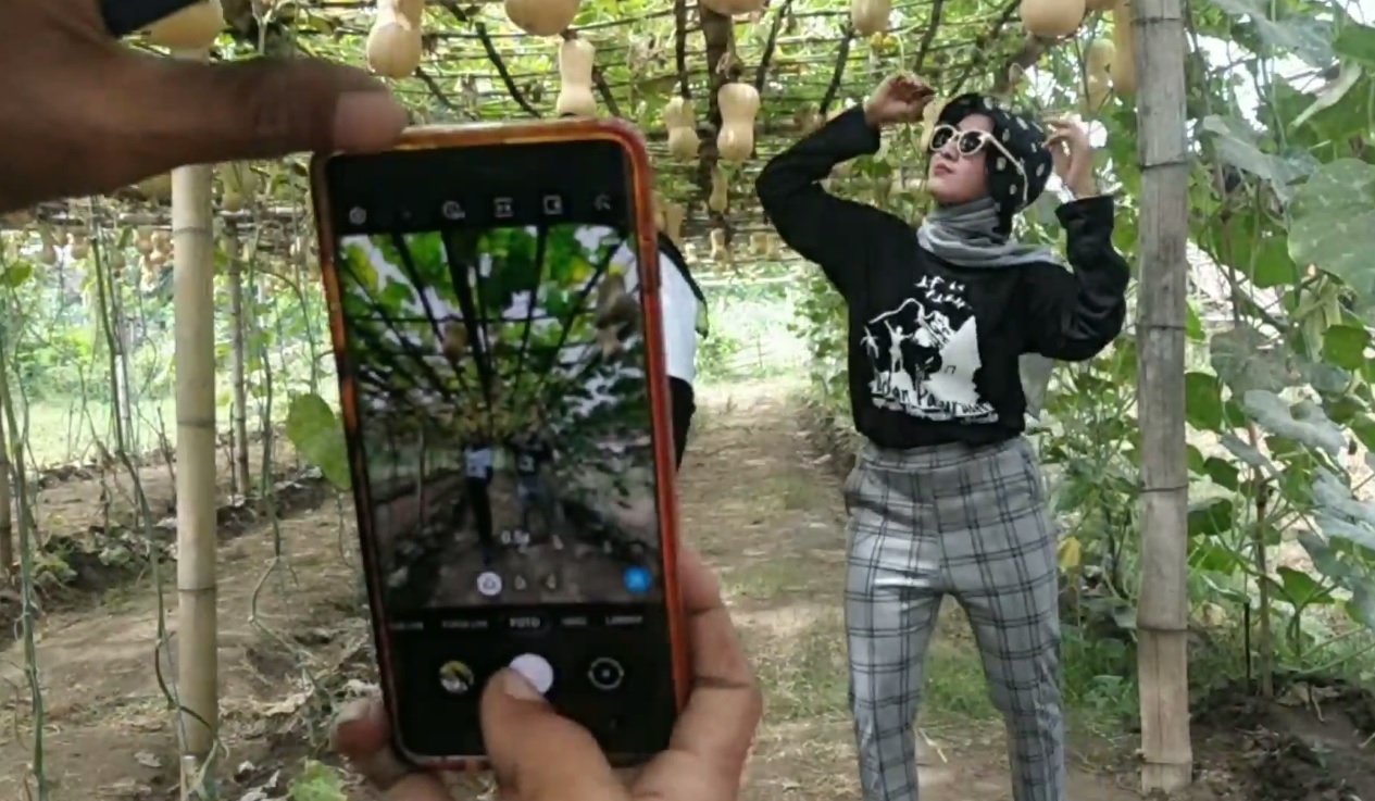 Agrowisata labu madu Pasuruan menjadi ajang swafoto pengunjung (Foto / Metro TV)