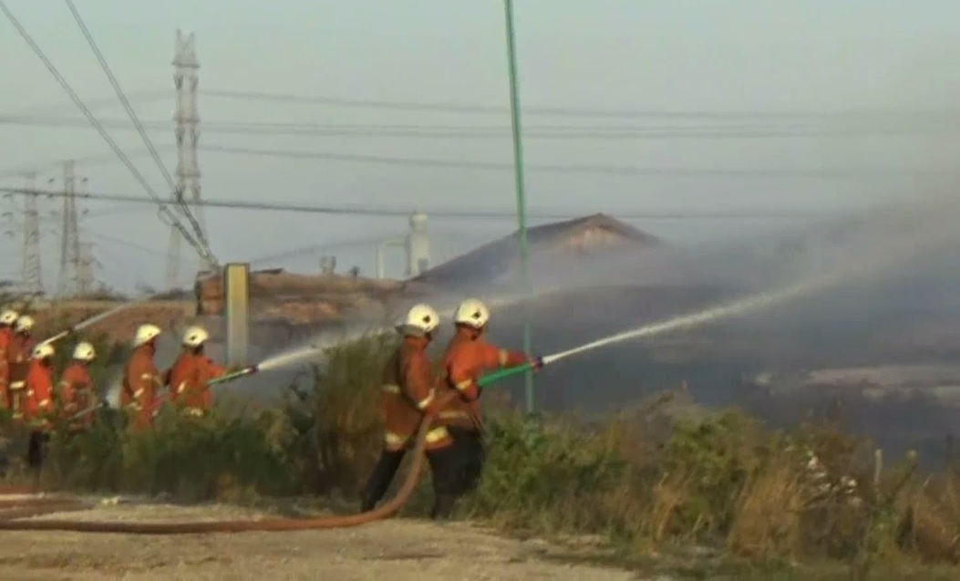 Gudang Kayu Gelondongan di Gresik Terbakar