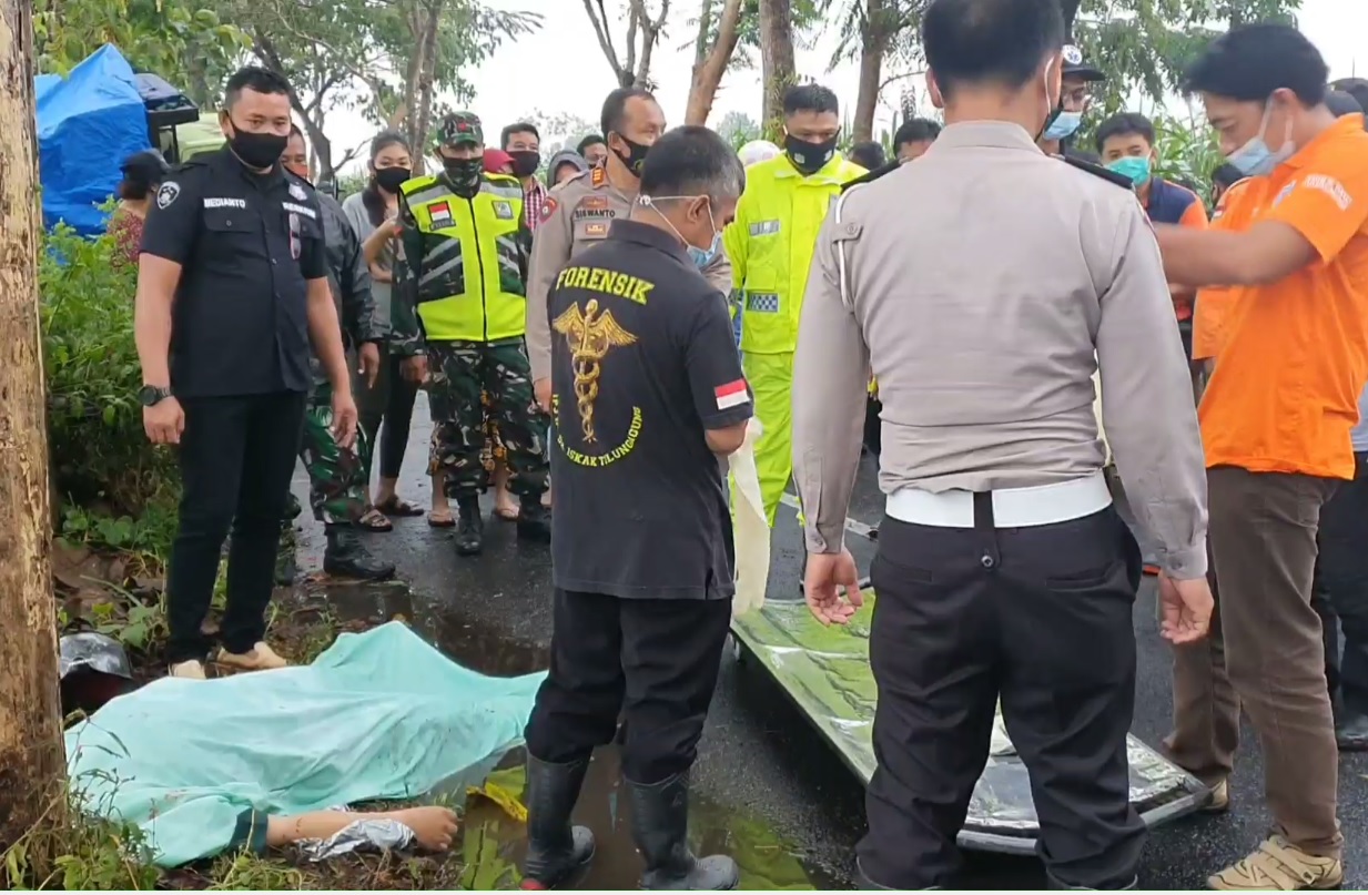 Hindari Pohon Tumbang, Pengendara Motor Tewas