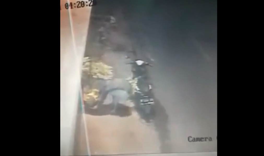 Viral, Emak- Emak Curi Bunga Milik Anggota Satpol PP Probolinggo