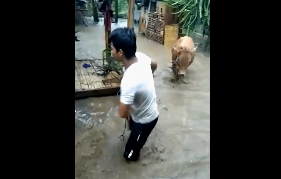 Diterjang Banjir Kiriman, Warga Desa Leprak Bondosowo Panik