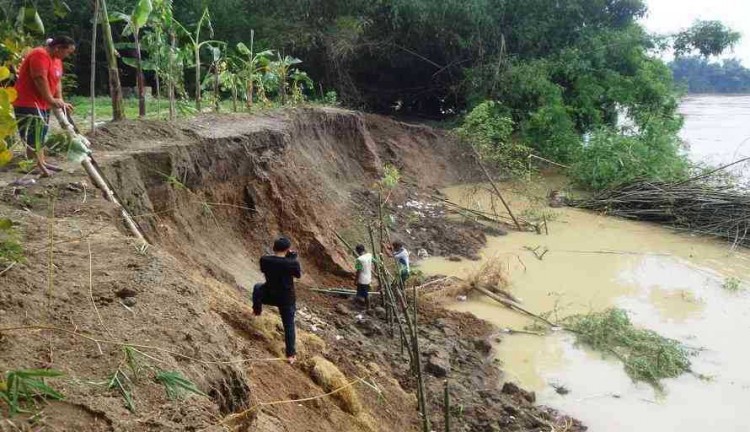 Kondisi tanggul sungai bengawan solo yang jebol setelah diterjang sungai beberapa waktu lalu (Foto / Metro tv)