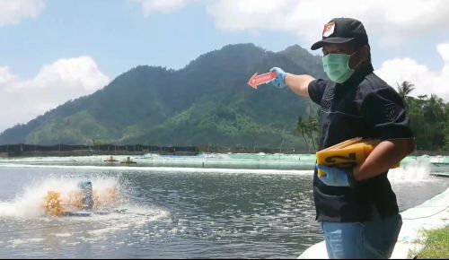 Lokasi tambak udang di Teluk Prigi. (metrotv)