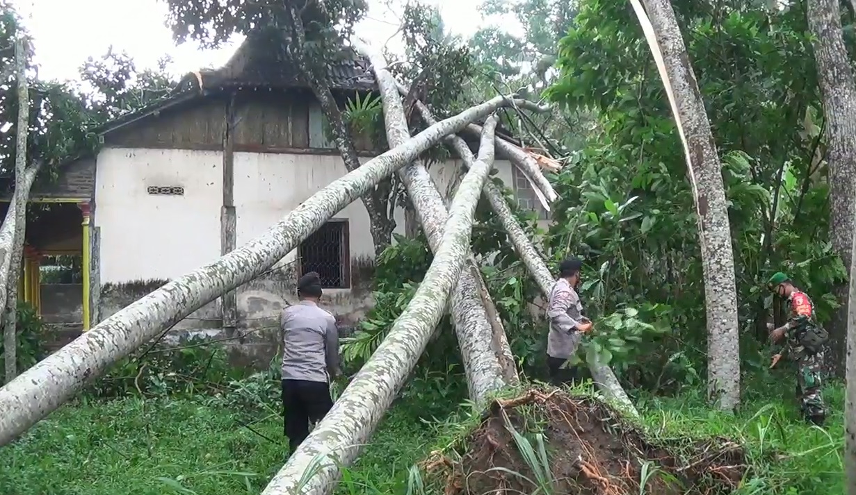 Sebuah rumah tertimpa pohon tumbang. (metrotv) 