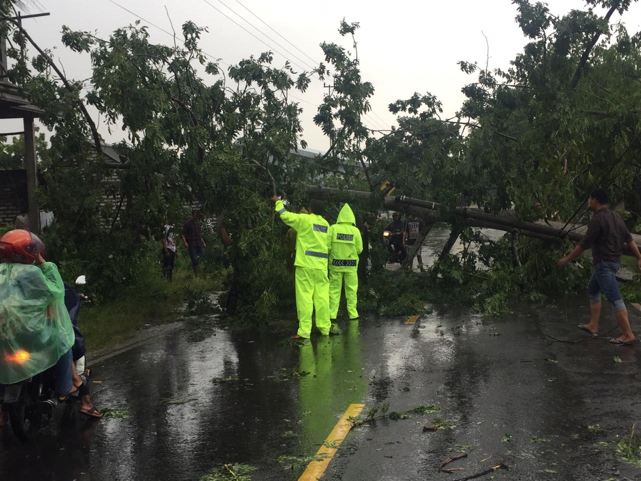 Pohon tumbang membuat kemacetan di  akses  jalan menuju Jembatan Suramadu. 