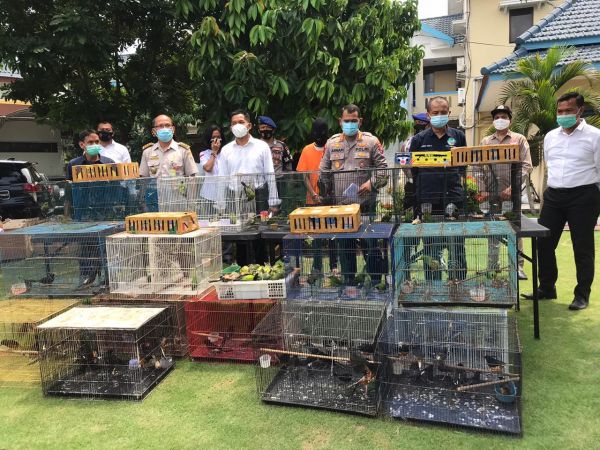 Polairud Gagalkan Penyelundupan Burung dari Kalimantan