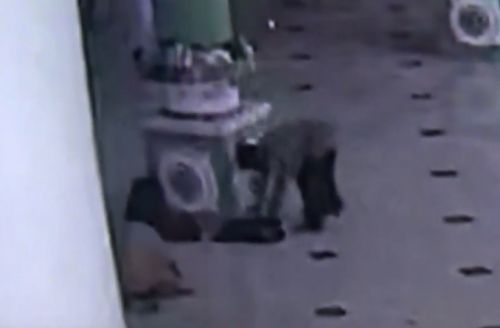 Aksi pencurian terekam kamera pengawas. (metrotv)