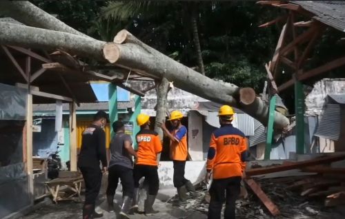 Petugas mengevakuasi pohon tumbang di Pasar Penataran Blitar. (metrotv)