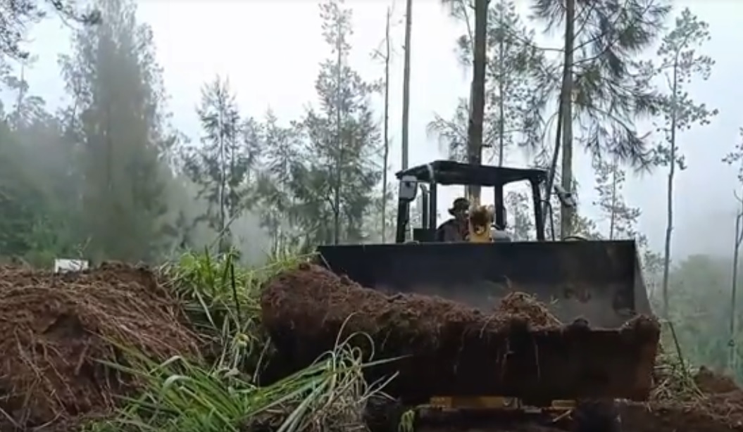 Tebing Tosari Longsor, Jalur Bromo Ditutup