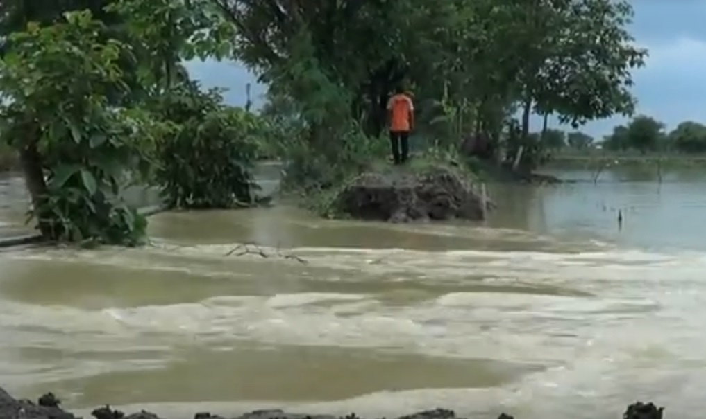 Tanggul sungai plalanggan di Desa Pomahan Janggan, Kabupaten Lamongan jebol. (metrotv) 