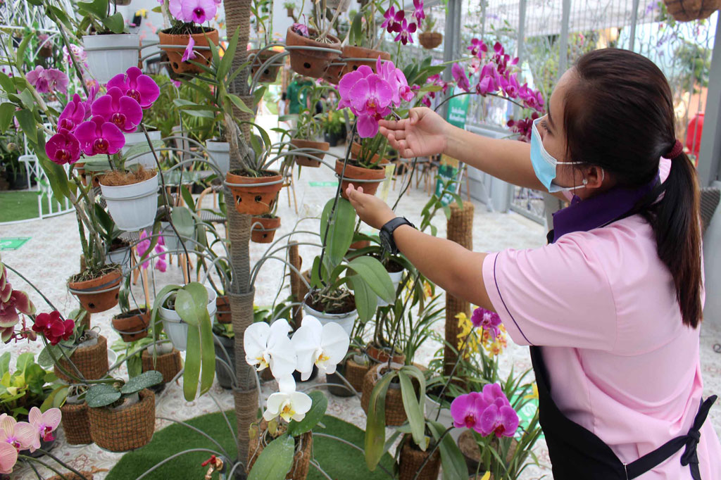  Aneka bunga hadiri di Batu Love Garden. (MI)