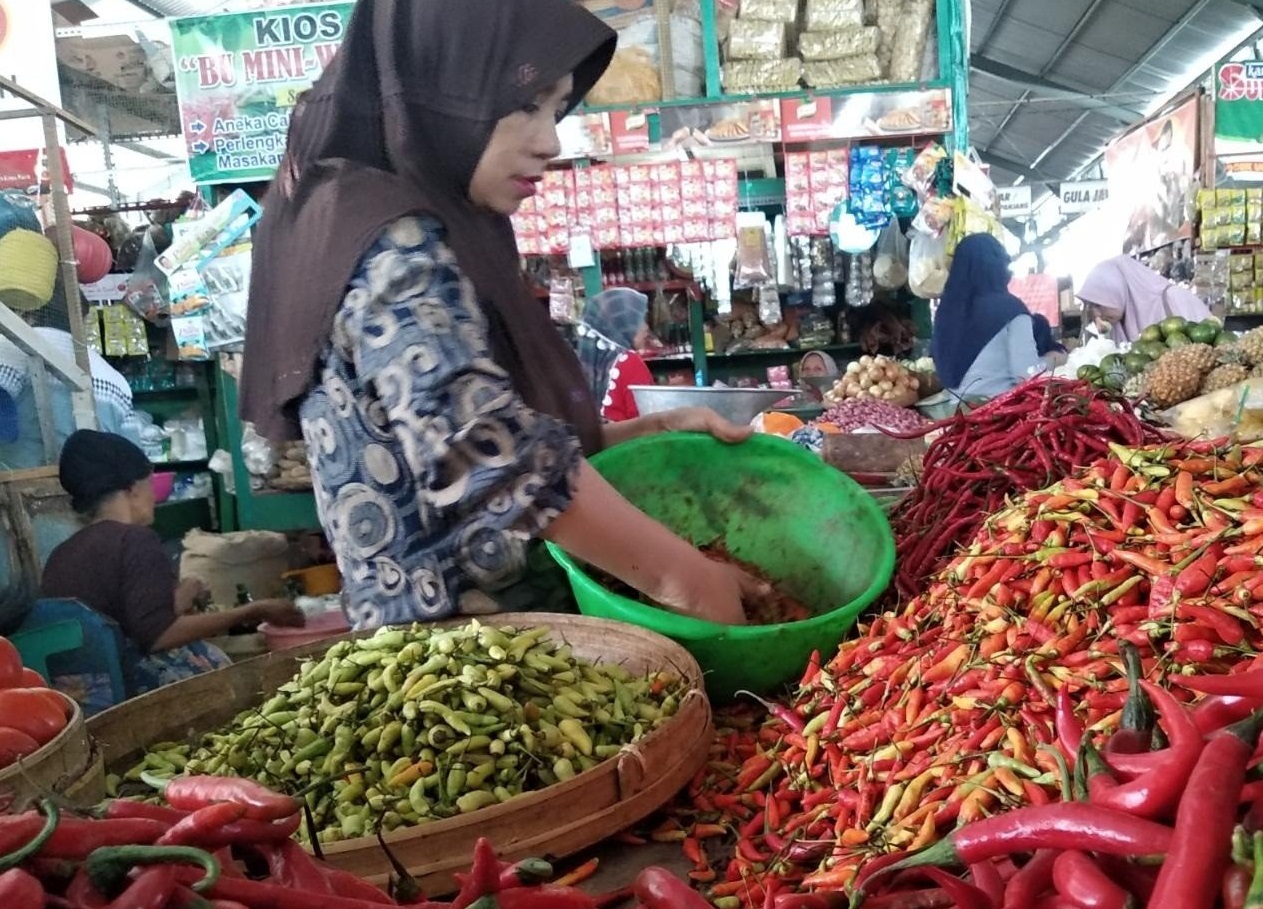 Harga Cabai Meroket di Pacitan