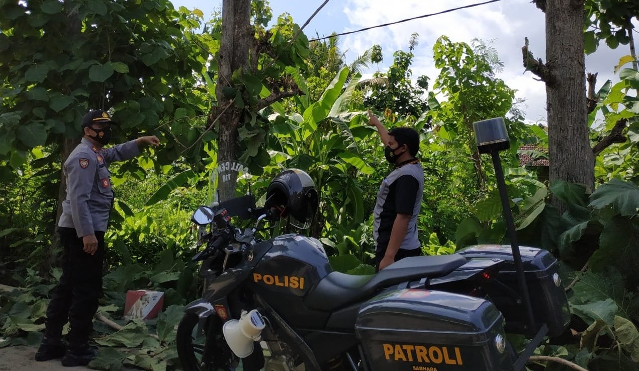 Potong Ranting Pohon, Pria di Ponorogo Tewas Tersetrum