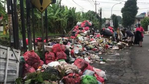 Imbas Sopir Mogok, Sampah di Jember Menggunung