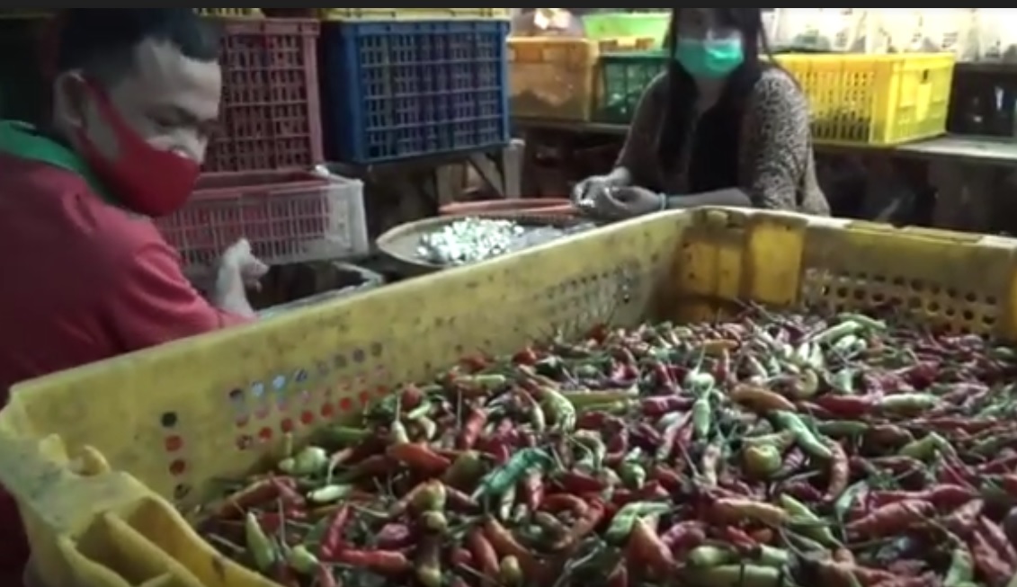 Harga Cabai Rawit Mulai Turun, Cabai Keriting Melambung