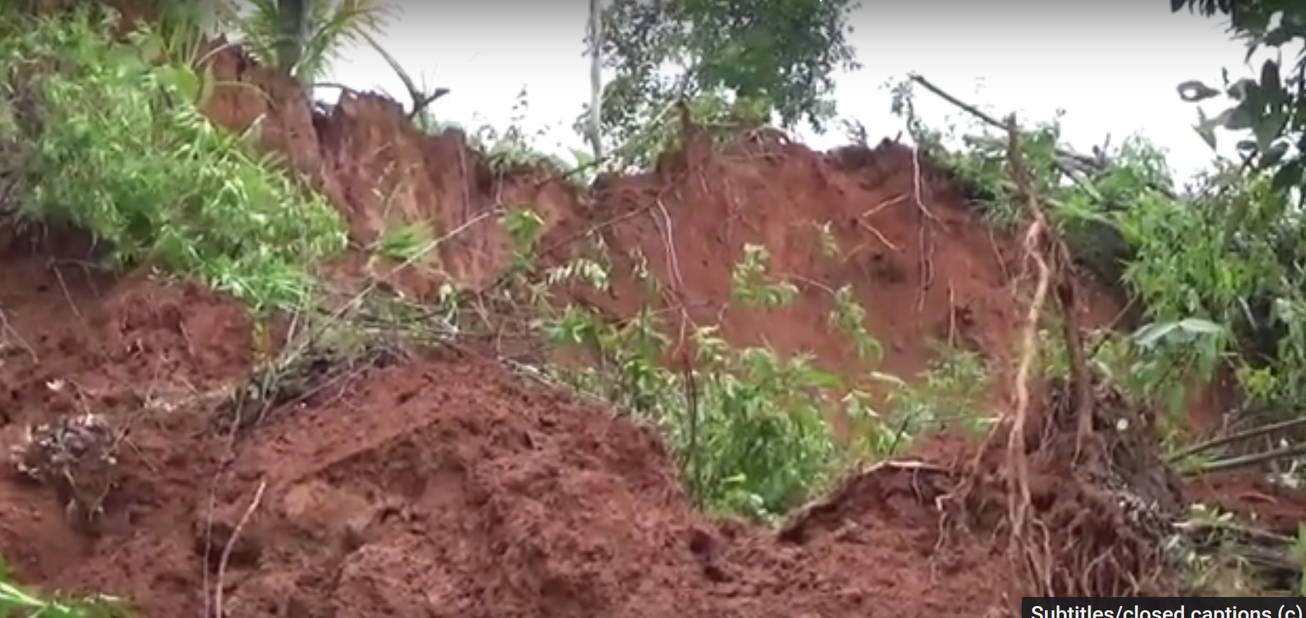 Diguyur Hujan Tebing Lereng Gunung Wilis Longsor Timpa Satu Hektar Lahan