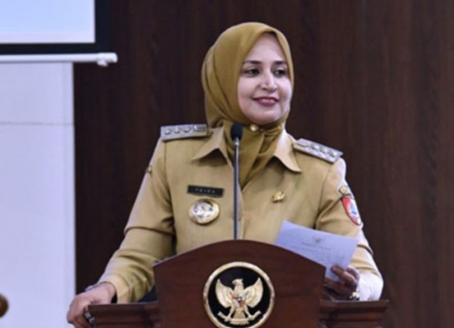 Bupati Jember Faida (Foto/ Istimewa)