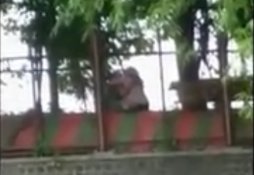 Sepasang muda-mudi terekam kamera warga melakukan tindakan tidak senonoh di lokasi wisata Ranu Grati Pasuruan. (metrotv)