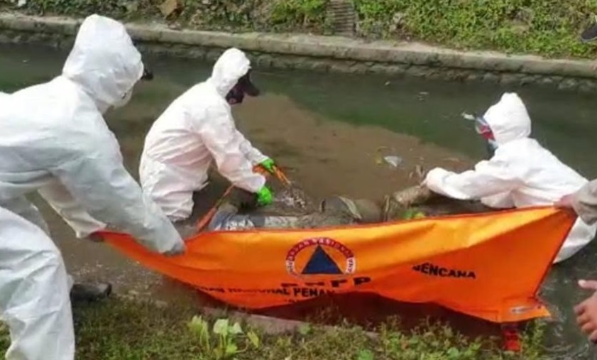 Proses evakuasi mayat Ervin yang ditemukan di sungai setelah tiga hari hilang (Foto / Metro TV)