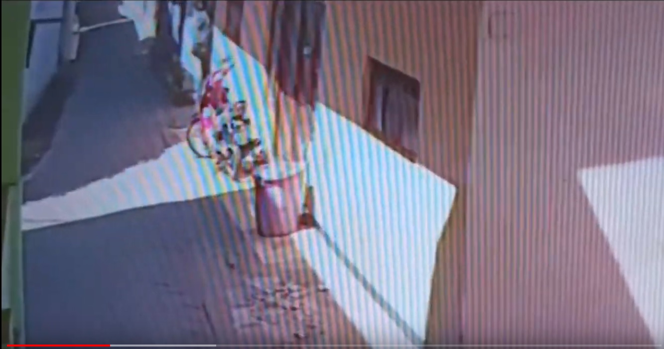 Aksi salah satu pelaku saat memanjat tembok untuk mencuri burung murai batu diri dalam sangkar (Foto / Metro TV)