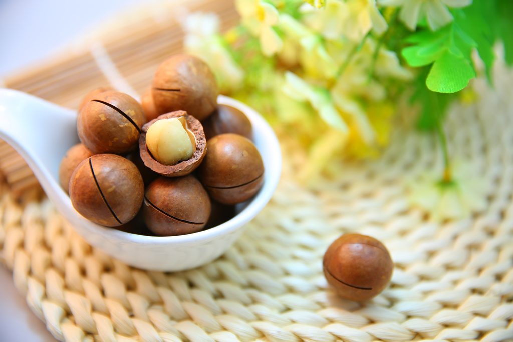 Ilustrasi kacang macadamia.  (Foto: Pixabay/Pexels)